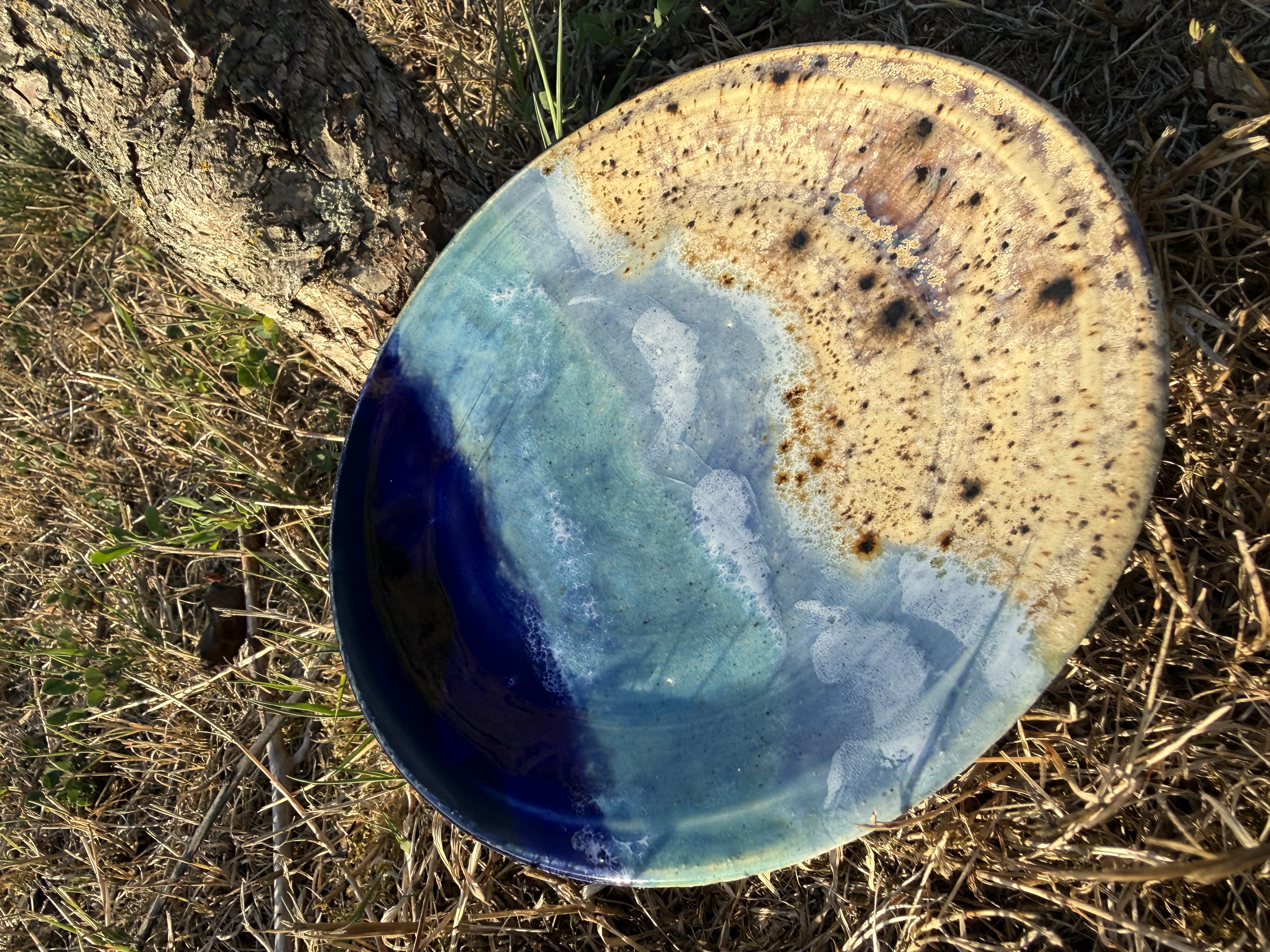 Beach plate